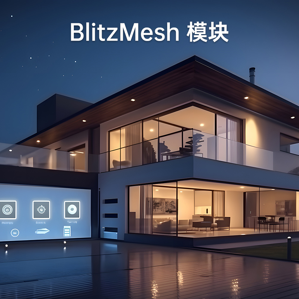 Blitzmesh