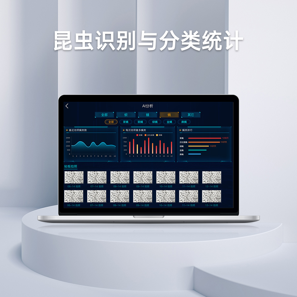 算法